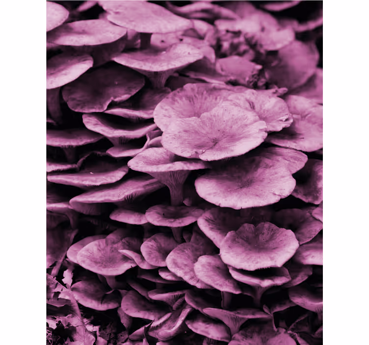 Persiana enrollable flores capas florales vibrantes - TenVinilo