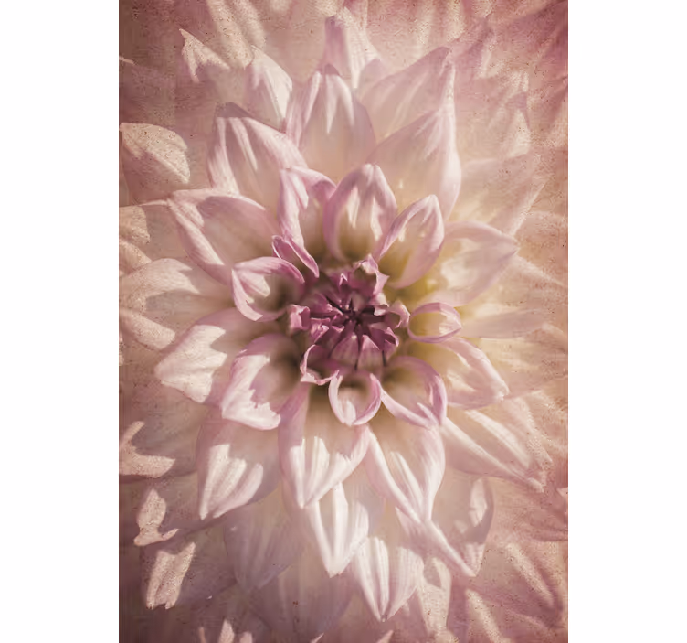 Persiana enrollable flores delicada floración - TenVinilo