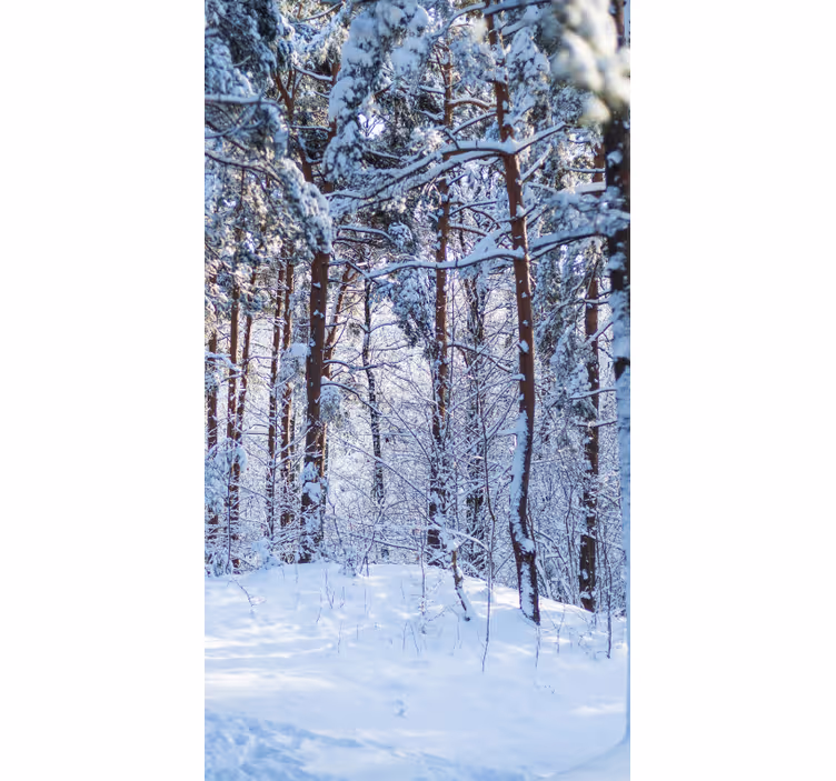 Persiana enrollable árboles bosque de pinos nevados - TenVinilo