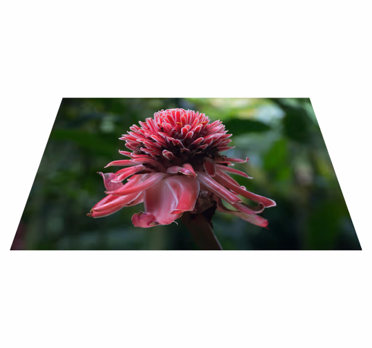 Individual mesa original arreglo floral tropical - TenVinilo