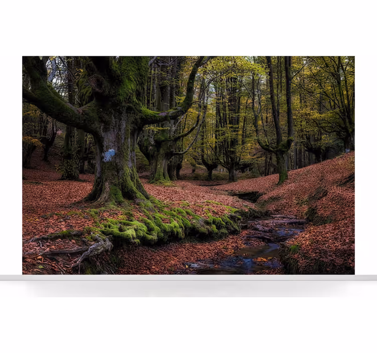 Mural de bosque bosque encantado en otoño - TenVinilo