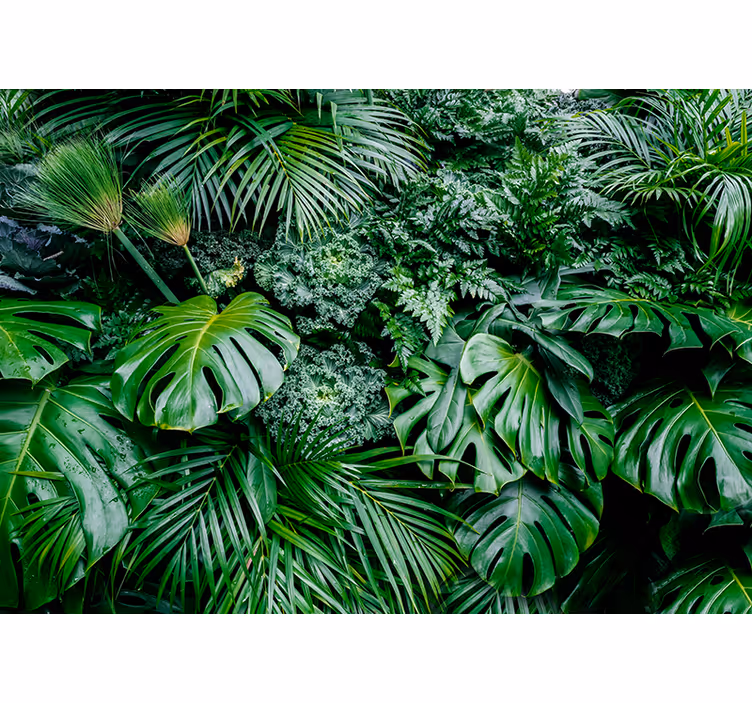 Fotomural de paisaje hojas tropicales - TenVinilo