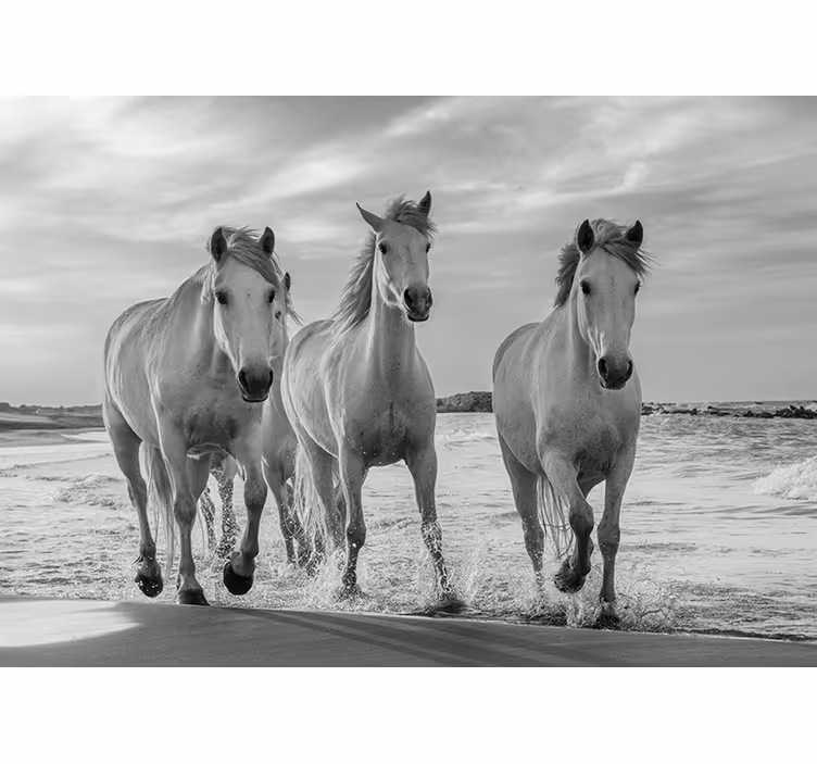 Fotomural animale Caballos corriendo - TenVinilo