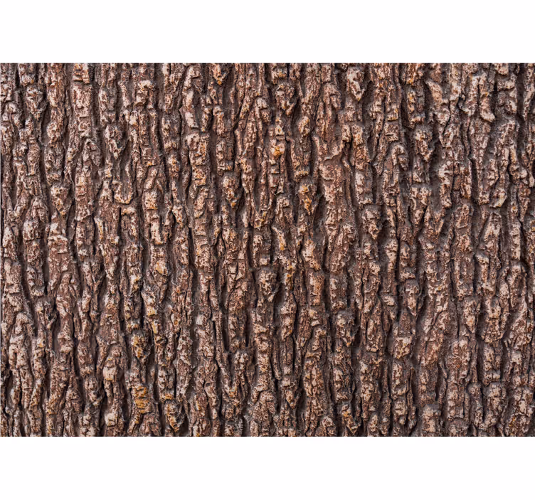 Fotomural madera Textura de madera de corteza de árbol - TenVinilo