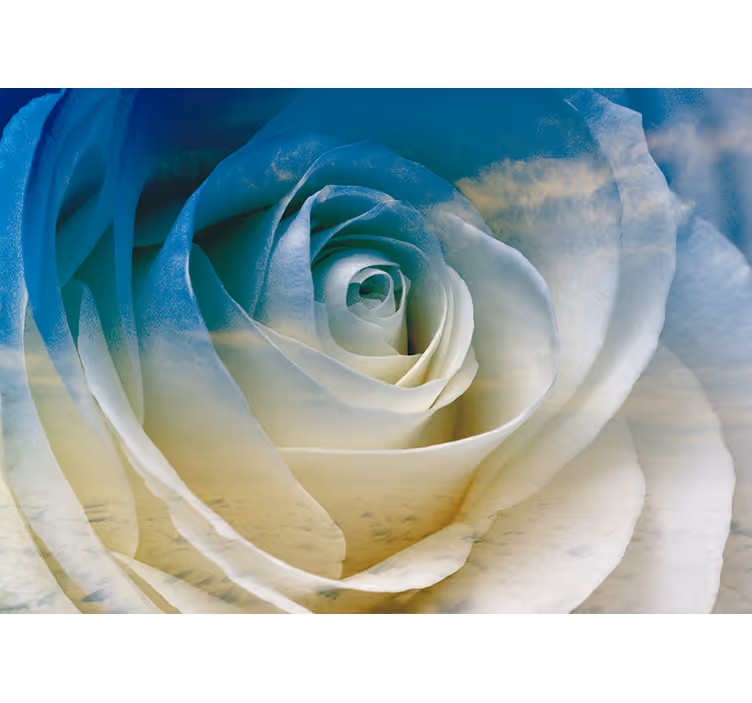 Mural de flores elegancia en pétalos de rosa - TenVinilo