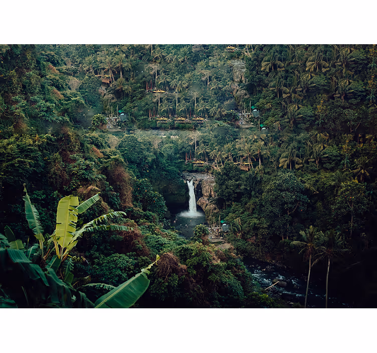 Mural de naturaleza cascada de selva exuberante - TenVinilo
