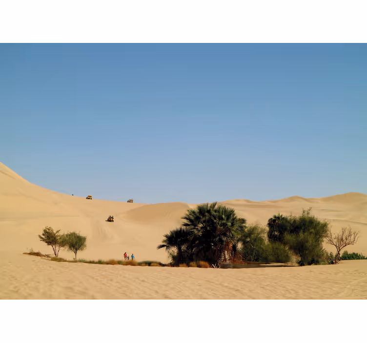 Mural de desierto oasis de dunas de arena - TenVinilo