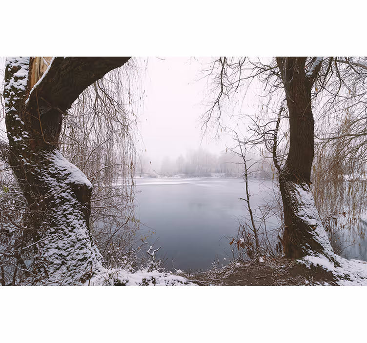Fotomural naturaleza Lago con árboles nevados - TenVinilo