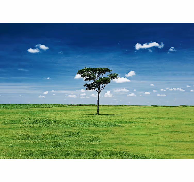Fotomural de arboles Paisaje de un solo árbol - TenVinilo