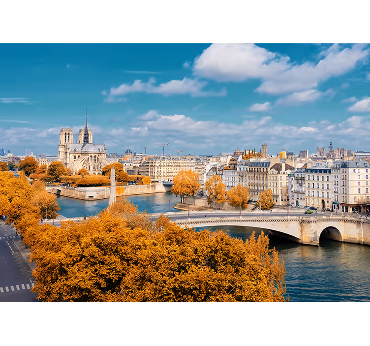 Mural de parís vista de otoño en notre dame - TenVinilo