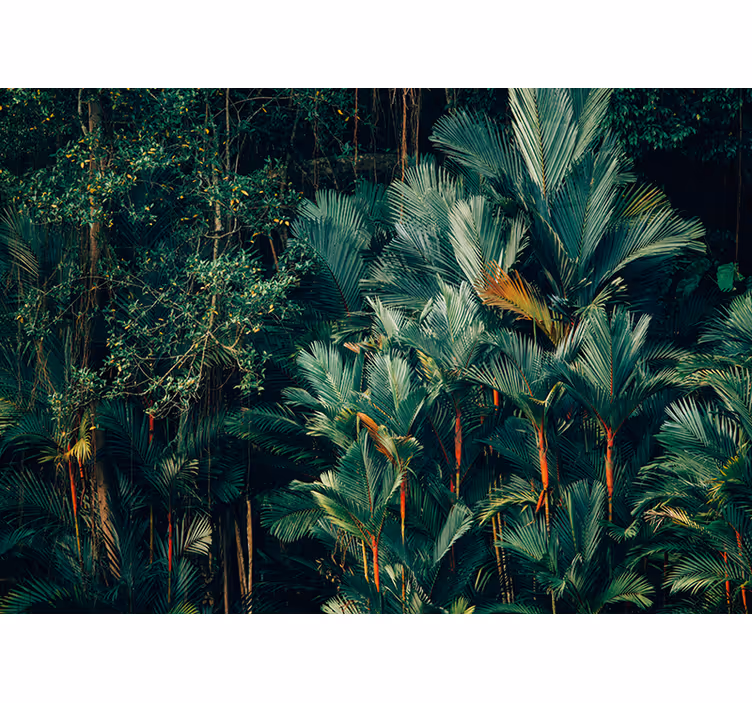 Mural de naturaleza hojas de palma exóticas - TenVinilo