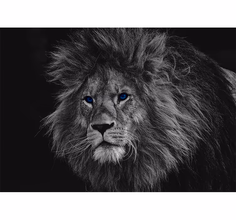 Mural leones León de ojos azules - TenVinilo