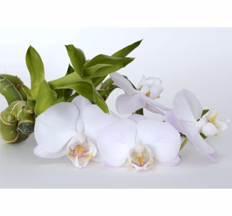 Mural de orquídeas arreglo elegante de orquídeas - TenVinilo