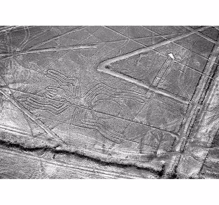 Mural de animales geoglifo de la araña de nazca - TenVinilo