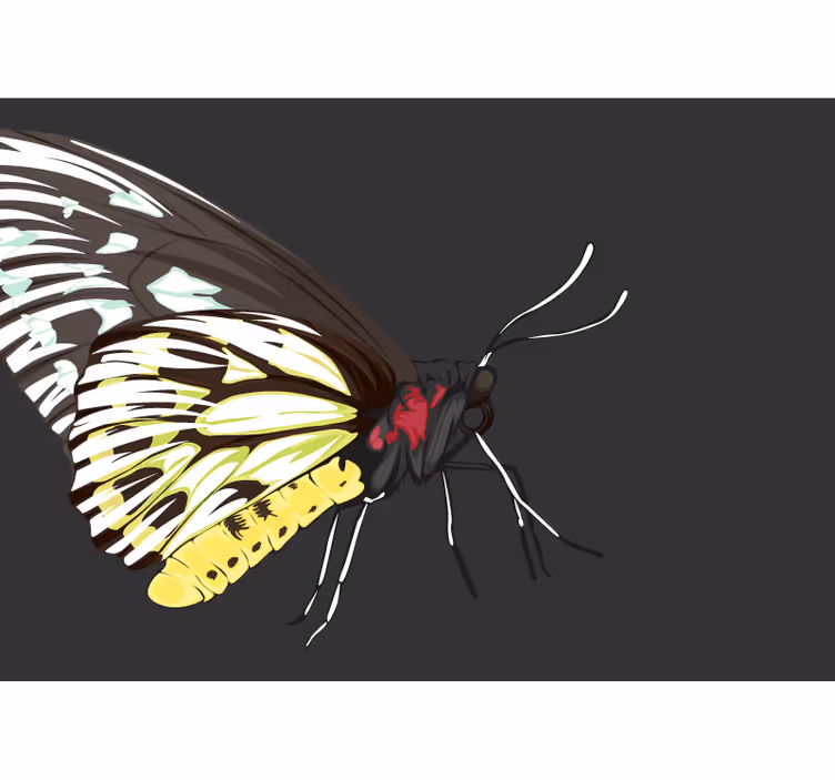 Fotomural animale Mariposa amarilla detallada realista - TenVinilo