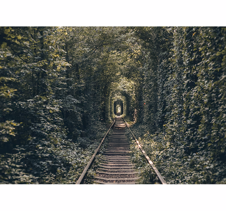 Mural de paisajes túnel de tren en la naturaleza - TenVinilo