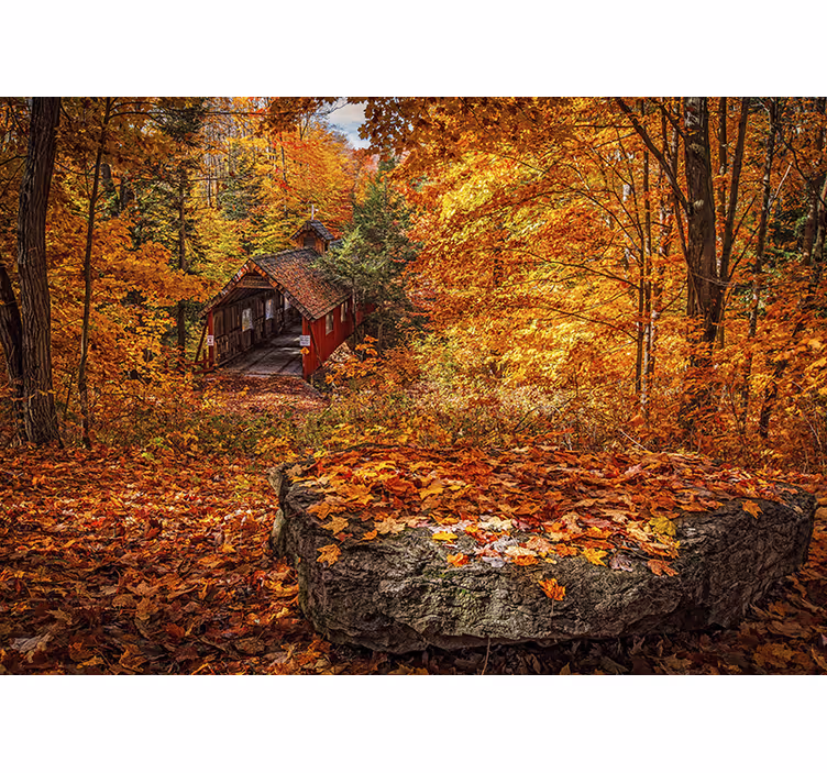 Fotomural de bosque Paisaje otoñal con hojas caídas - TenVinilo