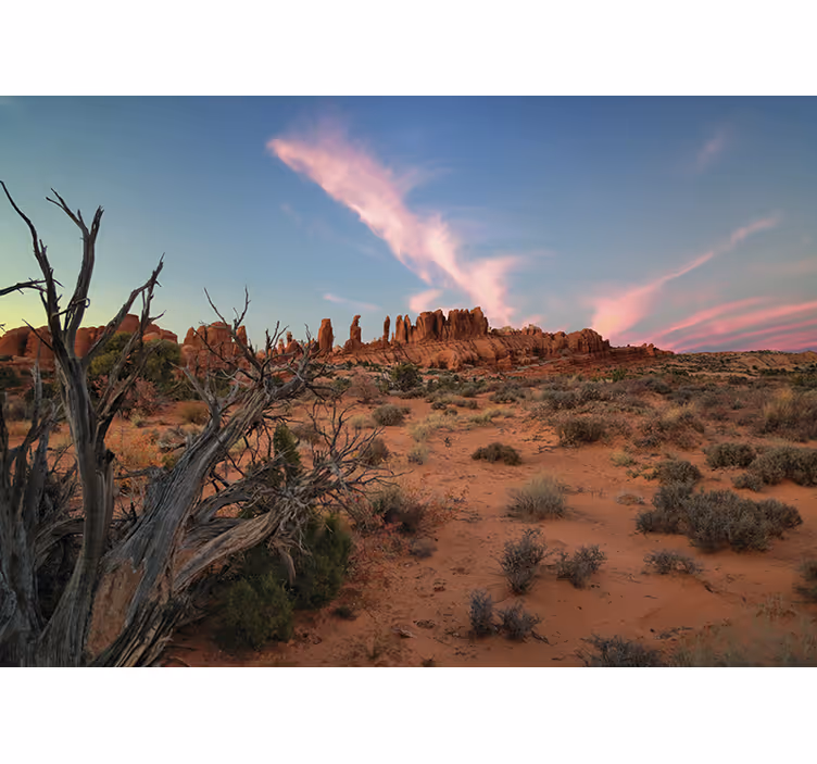 Fotomural desierto Paisaje al atardecer - TenVinilo