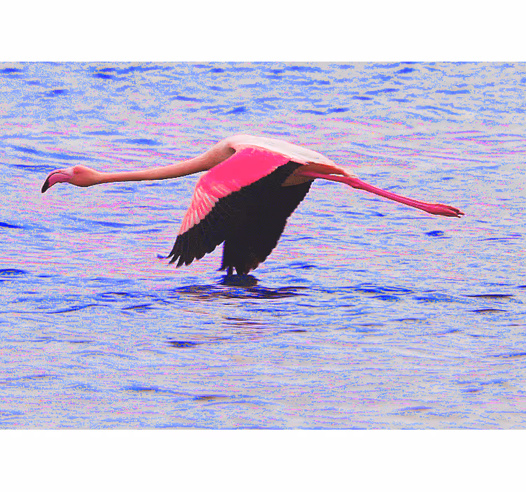 Mural de animales flamenco en vuelo - TenVinilo