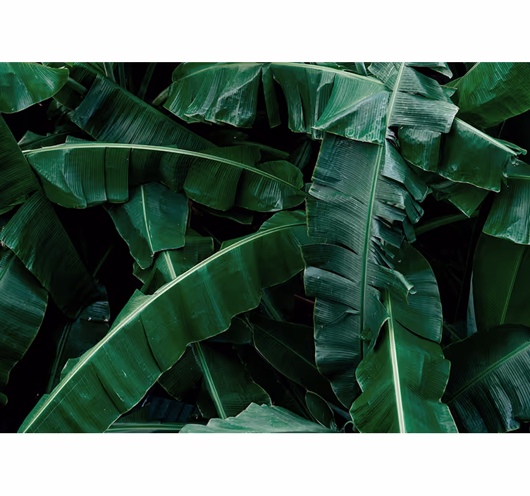 Mural de naturaleza follaje verde vibrante - TenVinilo