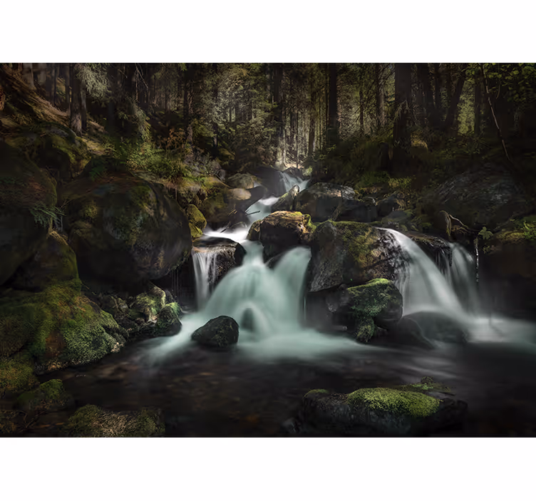 Mural de cascada arroyo del bosque tranquilo - TenVinilo