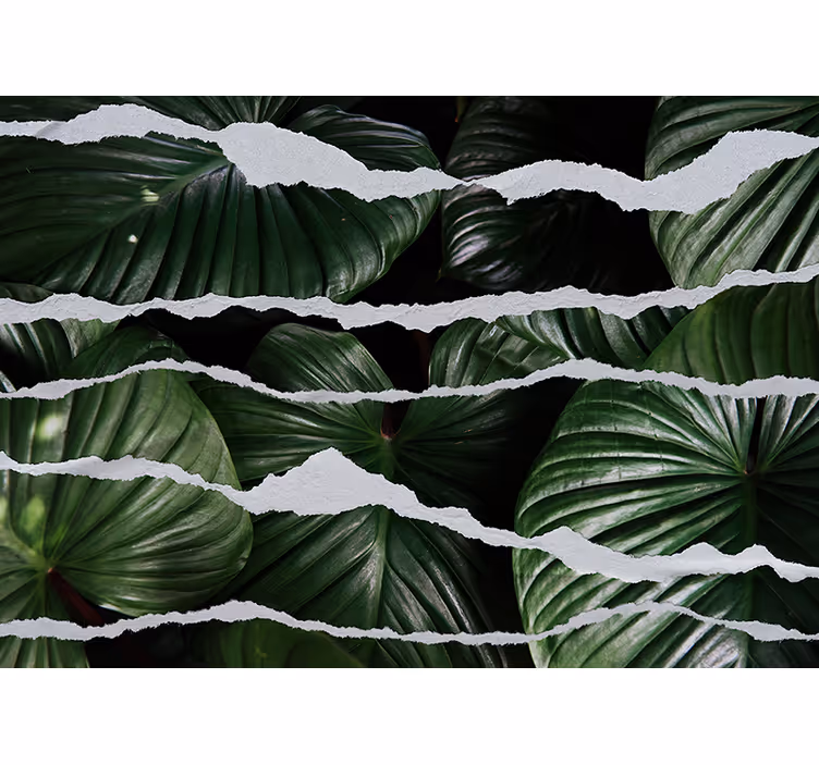 Fotomural habitación matrimonio Fondo de hoja con papel rasgado - TenVinilo