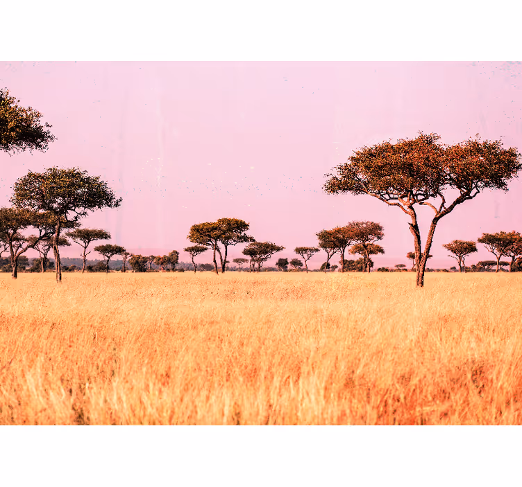Fotomural africano Sabana africana original - TenVinilo