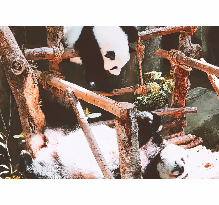 Mural de animales escena de juegos de pandas - TenVinilo