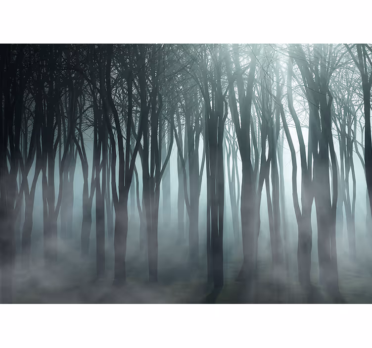 Mural de bosque silueta de arboles brumosos - TenVinilo