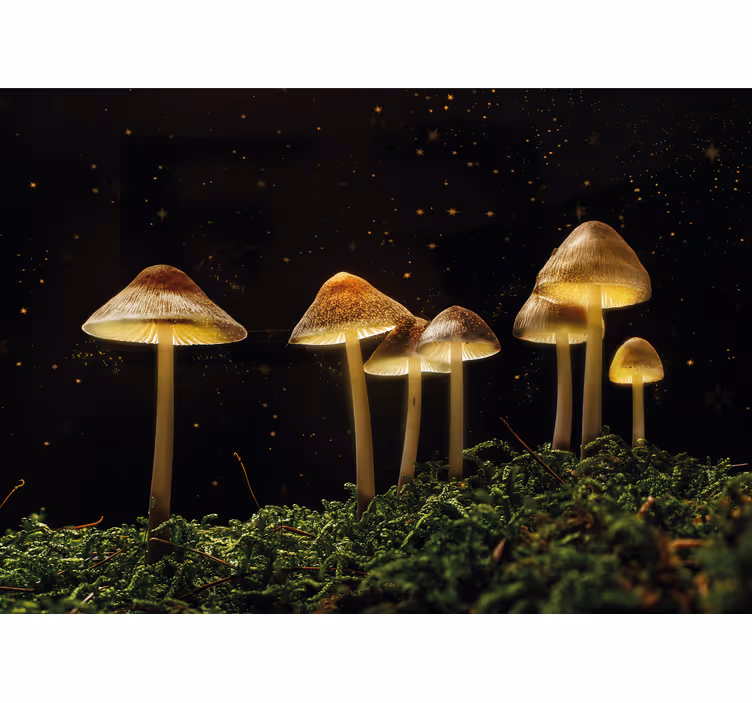 Mural de naturaleza escena de hongos brillantes - TenVinilo