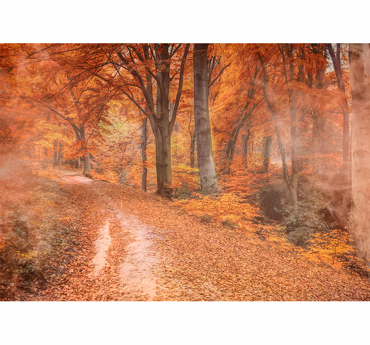 Fotomural de arboles Colores estéticos de otoño y niebla - TenVinilo