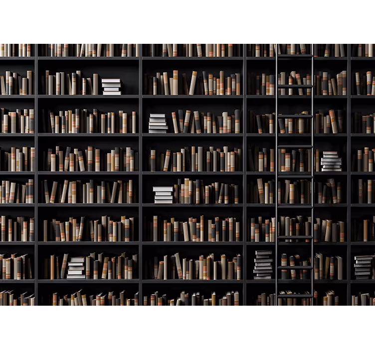 Mural efecto piedra surtido de libros biblioteca - TenVinilo