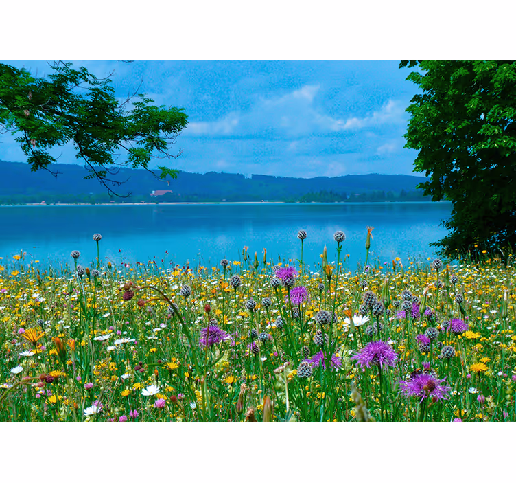Fotomural naturaleza Lago de primavera "cottagecore" - TenVinilo
