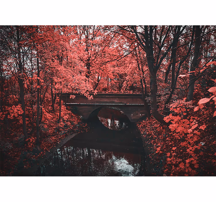 Fotomural naturaleza Puente de madera estilo cabaña - TenVinilo