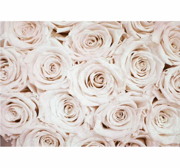 Mural de flores arreglo de rosas suaves - TenVinilo
