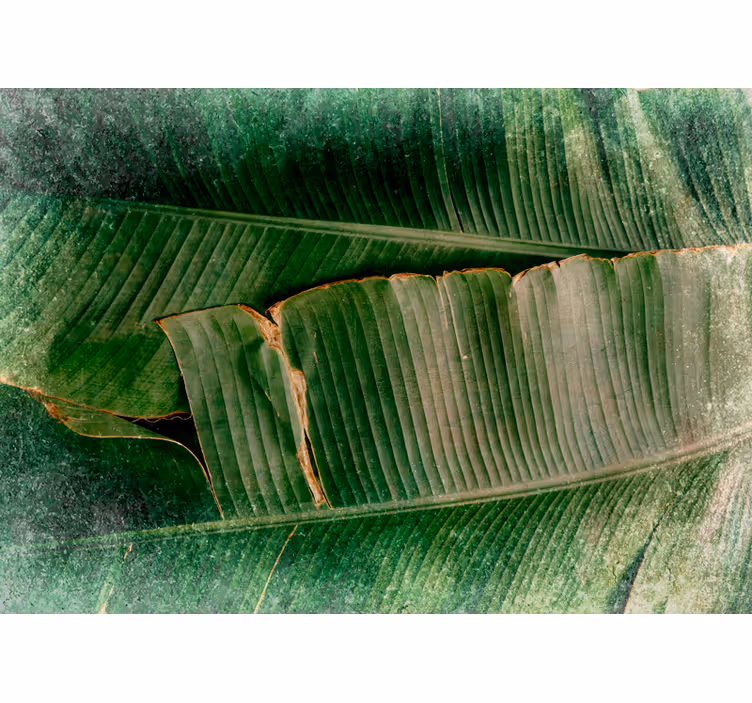 Mural de naturaleza capas de follaje vibrante - TenVinilo