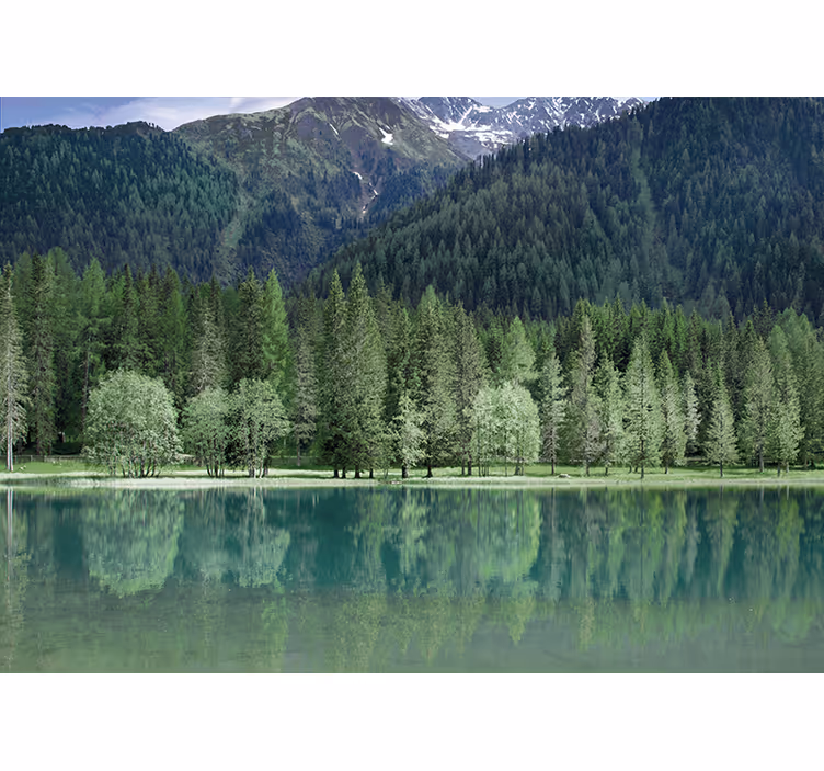 Fotomural naturaleza Hermoso lago verdoso - TenVinilo