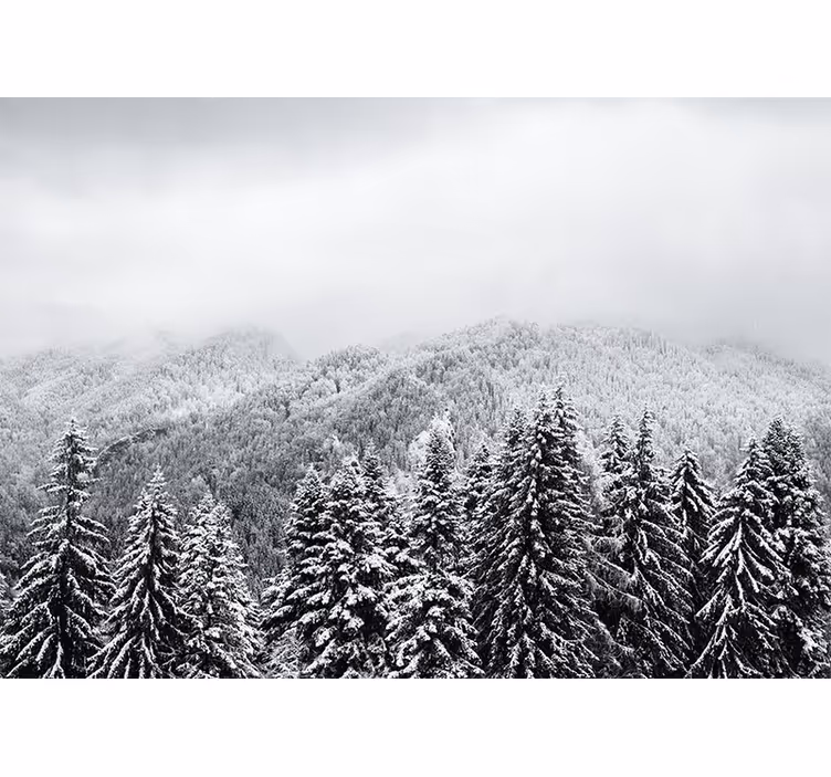 Mural de naturaleza paisaje boscosa invernal - TenVinilo