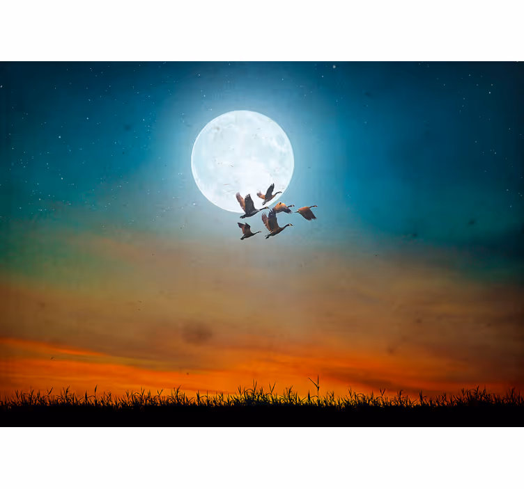 Fotomural animale Luna y pájaros - TenVinilo
