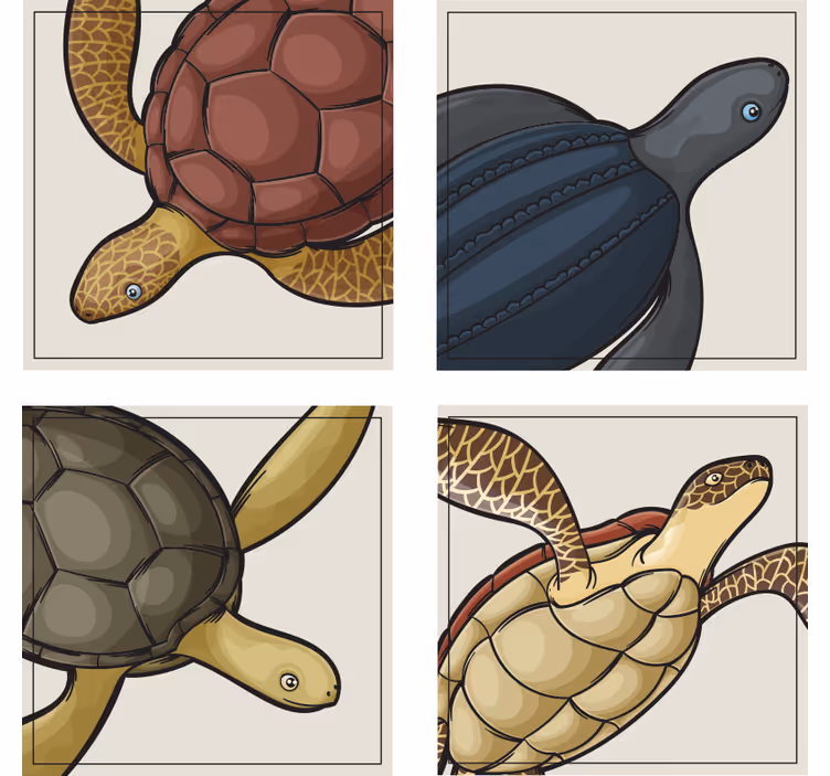 Portavasos frikis ilustraciones de tortugas coloridas - TenVinilo