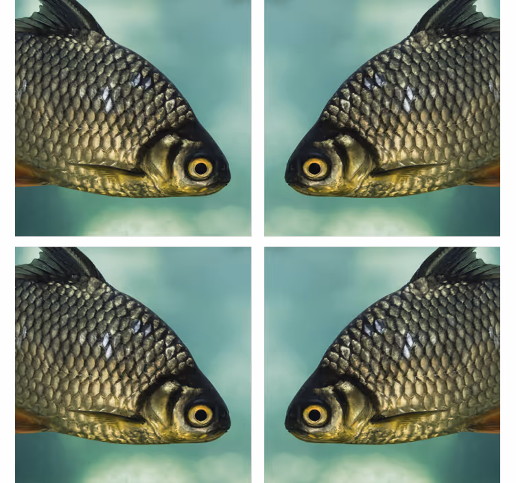 Portavasos frikis imágenes realistas de peces - TenVinilo