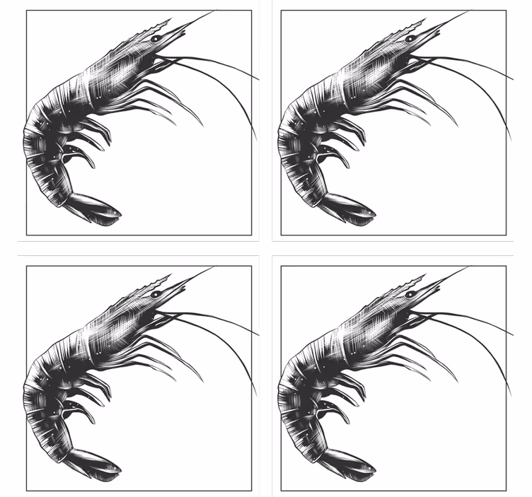 Posavasos camarón dibujado blanco y negro - TenVinilo