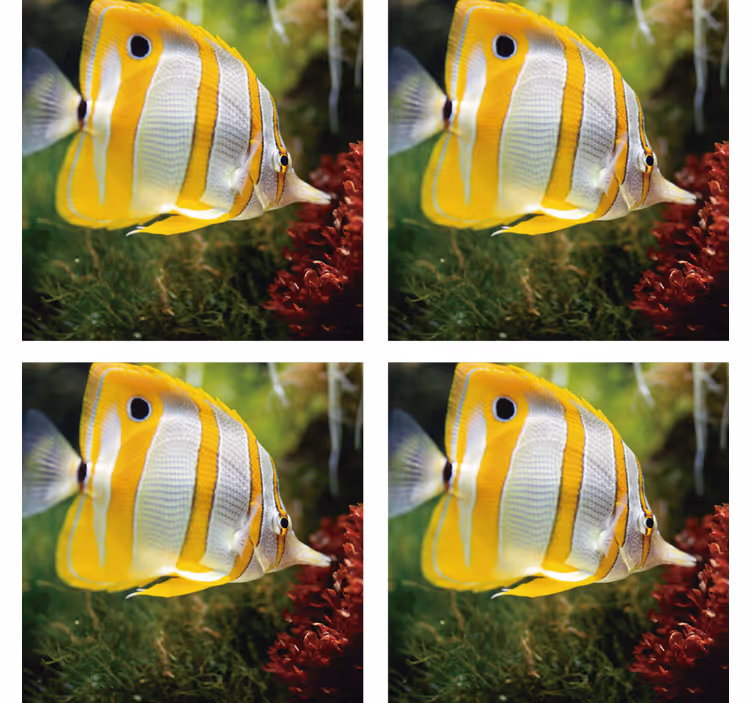 Posavasos de peces blanco y amarillo - TenVinilo