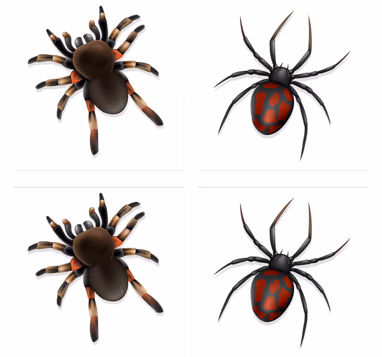 Portavasos halloween colección araña espeluznante - TenVinilo