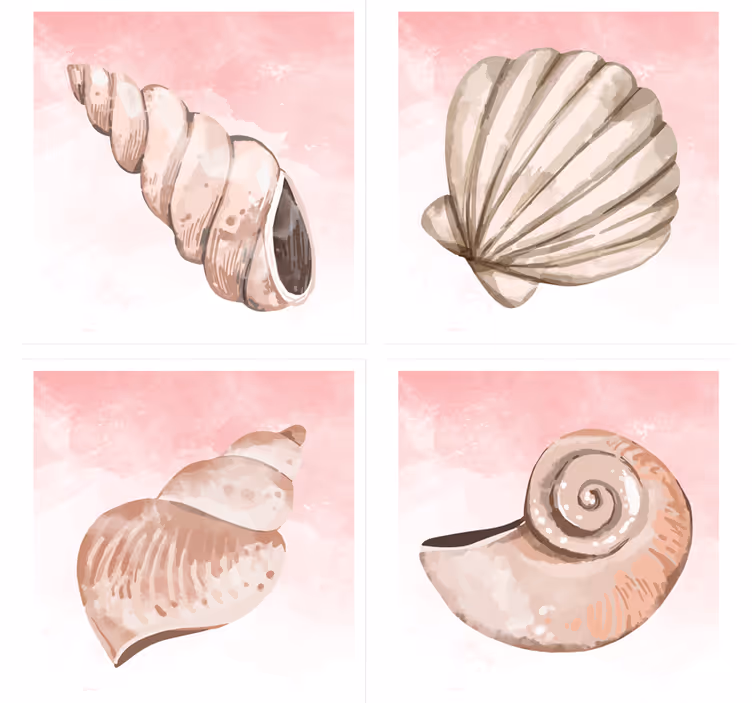 Portavasos moderno conchas marinas con toque rosa - TenVinilo
