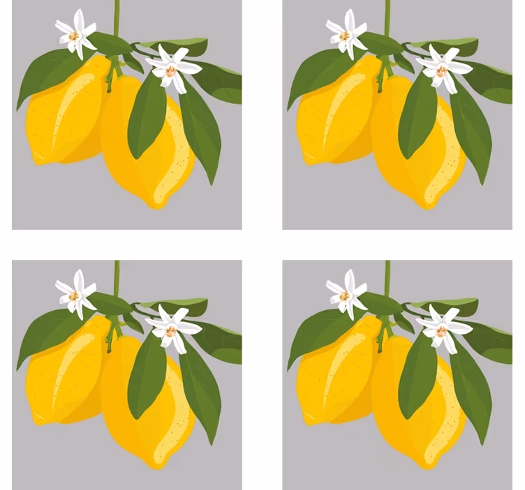 Posavasos de cítricos de limonero - TenVinilo