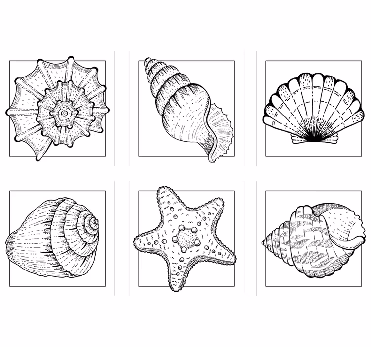 Portavasos con diseños intrincados de conchas - TenVinilo