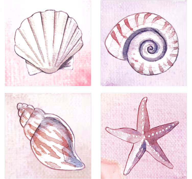 Portavasos acuarelas de conchas naturales - TenVinilo