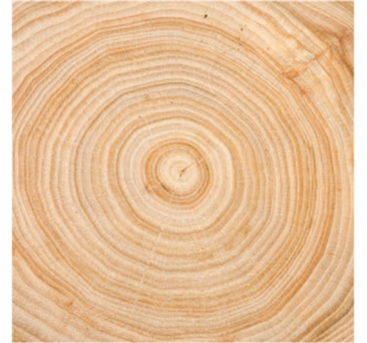 Portavasos círculo de madera - TenVinilo