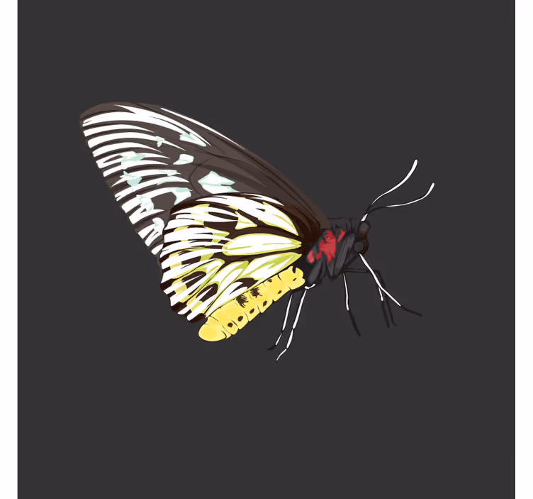 Portavasos frikis arte de mariposas coloridas - TenVinilo